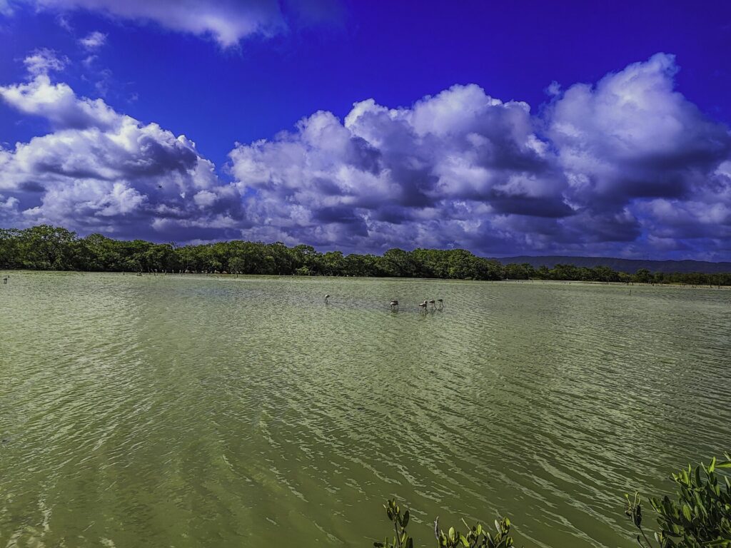 Fotografía de paisaje por Rubén Rivera fotógrafo profesional venezolano — VisualRuben @visualruben