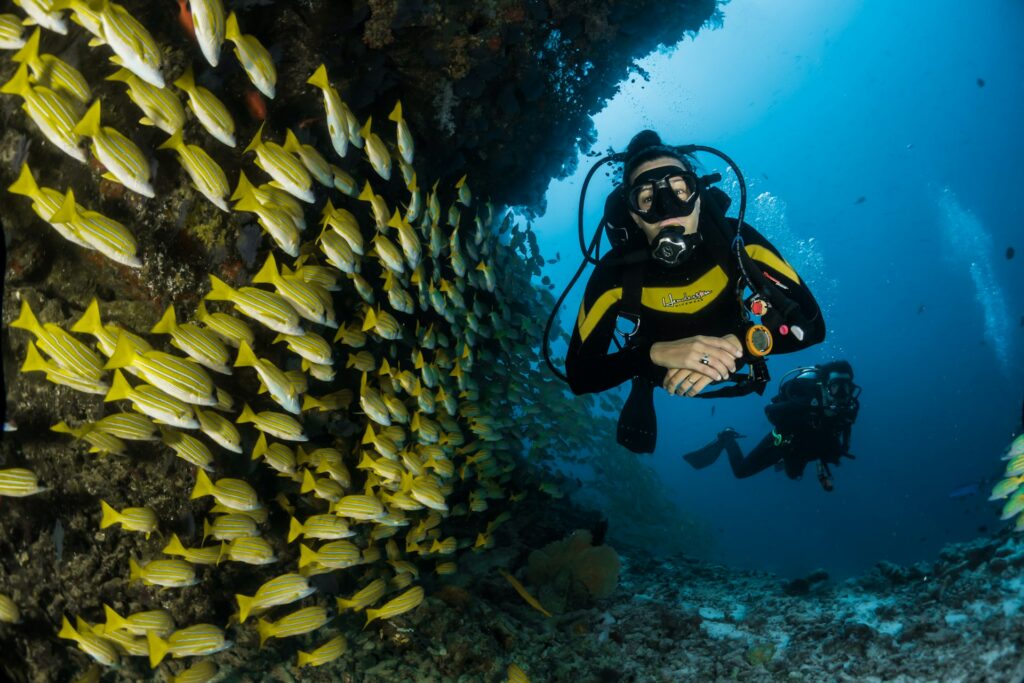 Fotografía submarina de arrecife de coral con peces de colores en aguas caribeñas